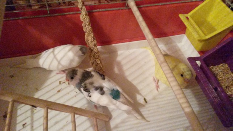 Детишки, уже большие