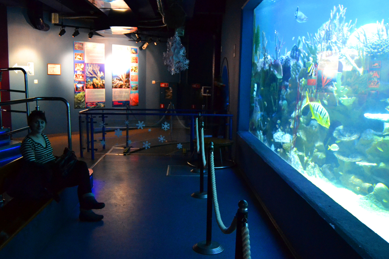 Короткие новогодние деньки в Петербурге