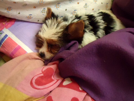 Привет. Давайте знакомиться! :)