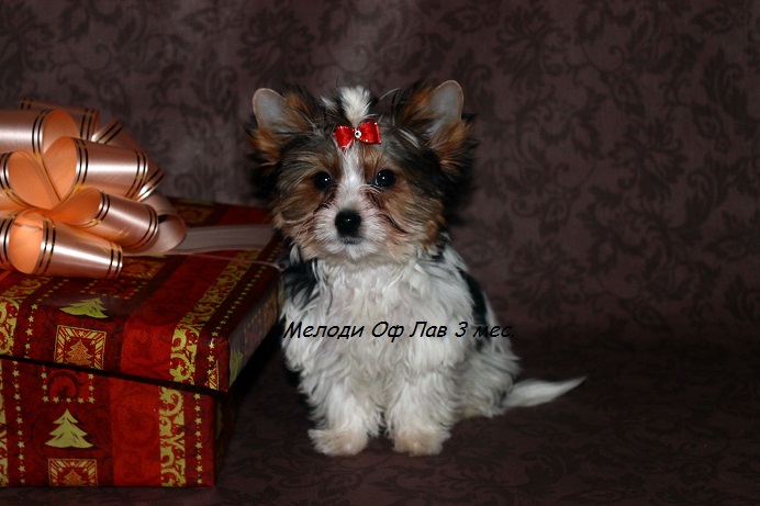 Привет. Давайте знакомиться! :)