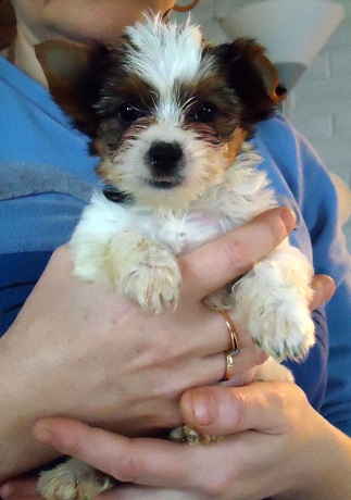 Привет. Давайте знакомиться! :)