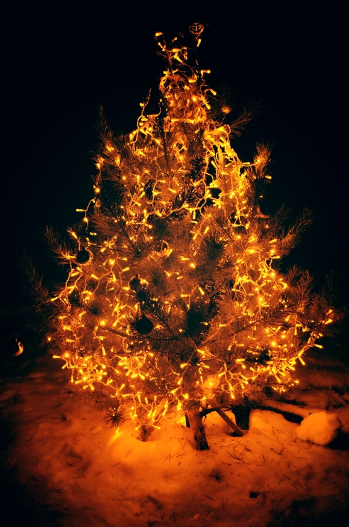 19 недель/ Новый Год