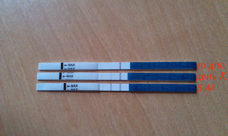 Наше новогоднее чудо)))