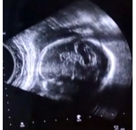 наш портрет