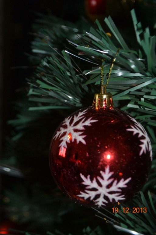 Наша красавица-елка)