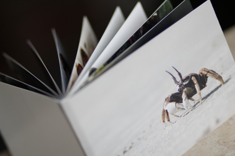 Мои фотокниги