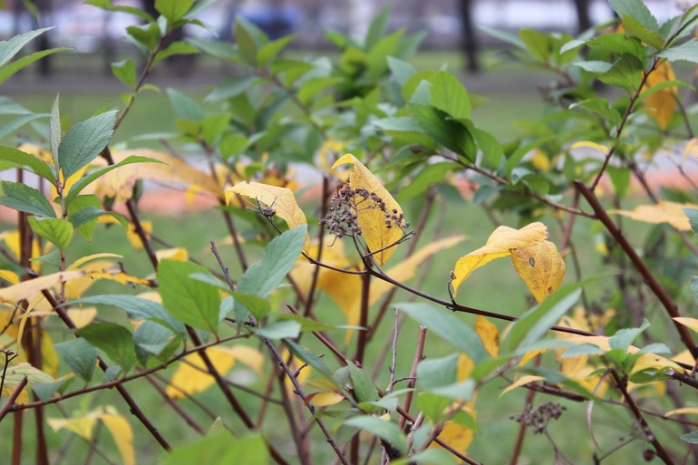 Контрольное задание № 7. Корректируем фотографию при помощи кривых