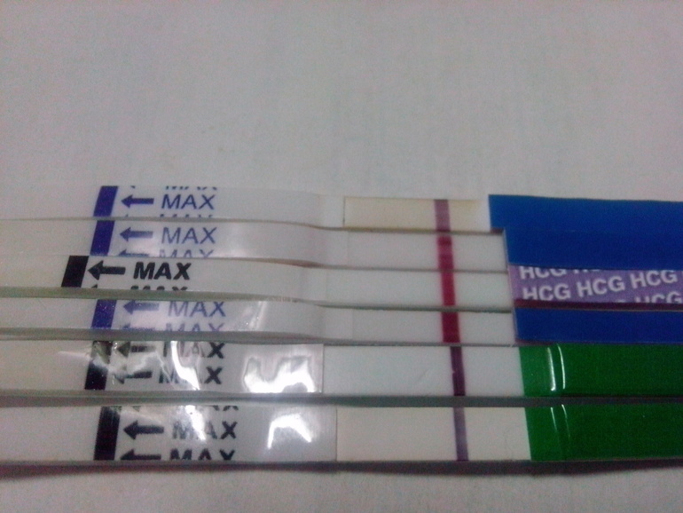 Как обещала