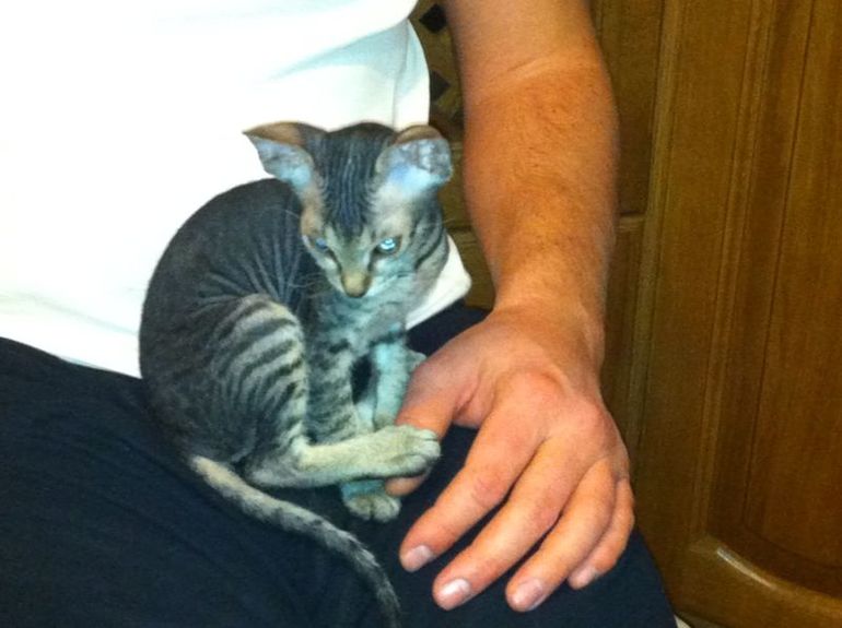 Бедная моя Лю((((