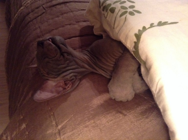 Бедная моя Лю((((