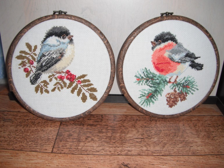 Мои зимующие птицы