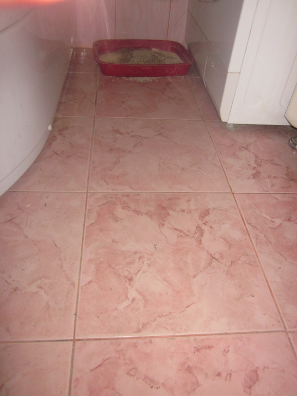 Взлёт№69.День 15