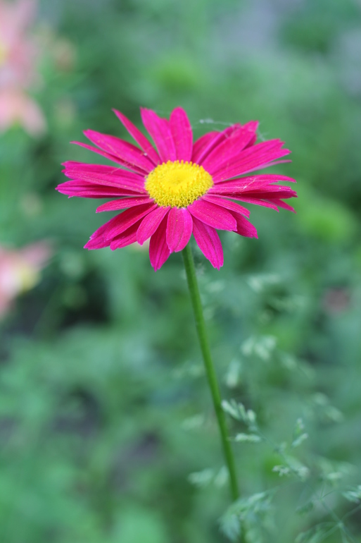 Контрольное задание № 6. Три способа цветокоррекций фотографий