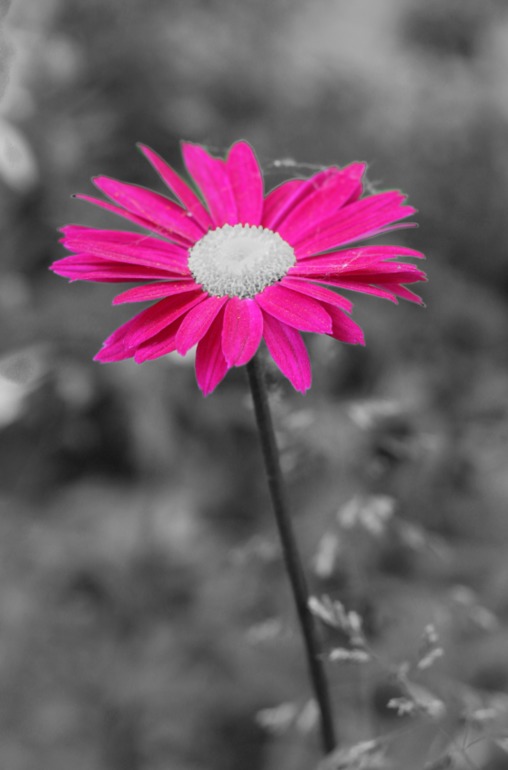 Контрольное задание № 6. Три способа цветокоррекций фотографий