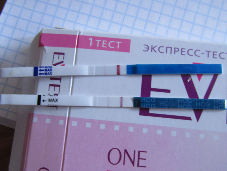 Все терьеры инфо - Разведение терьеров. Роды и подготовка к Все о льготах ветеранов боевых действий