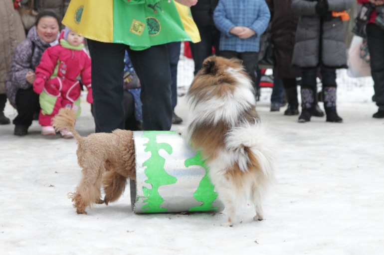 Праздник в парке
