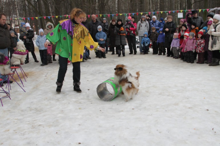 Праздник в парке