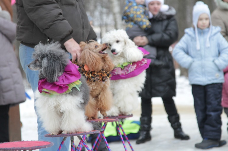 Праздник в парке