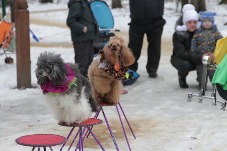 Праздник в парке
