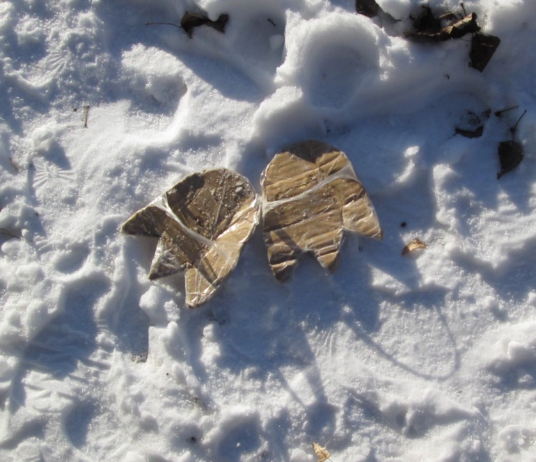 Это след от крокомота? Или это бигидил?