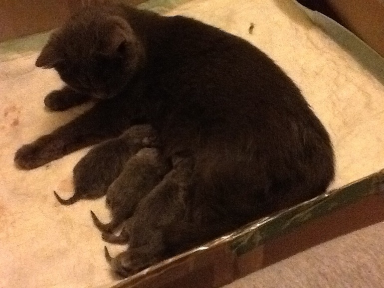 В итоге ( в продолжение предыдущего поста)!!!!