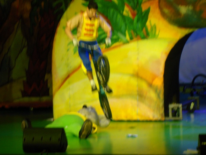 Елка в экспоцентре