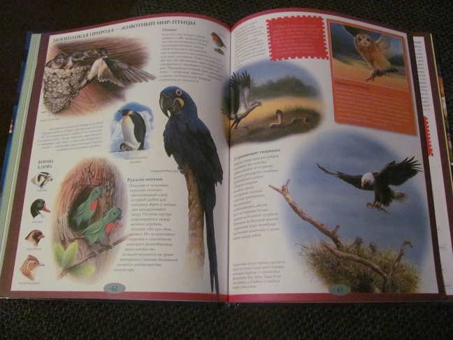 Энциклопедия для деток..