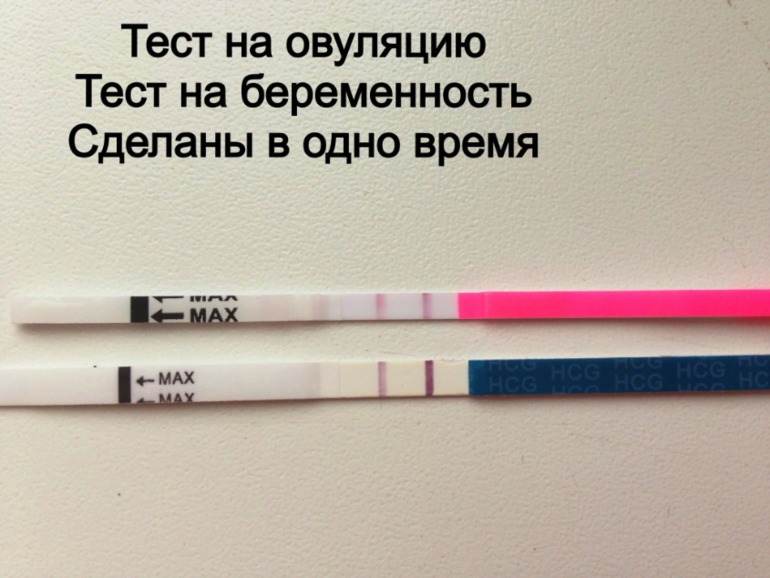 Тест на овуляцию показывает беременность, может ли тест на