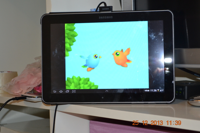 ТН Птицы 4,5 день