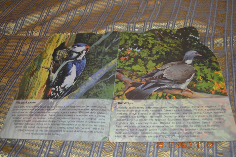 ТН Птицы 4,5 день