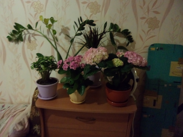 Просто покажу...