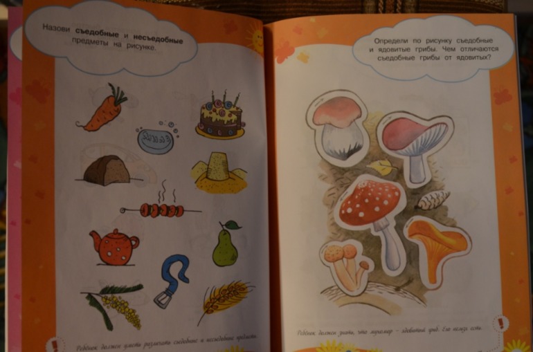 свойства предметов