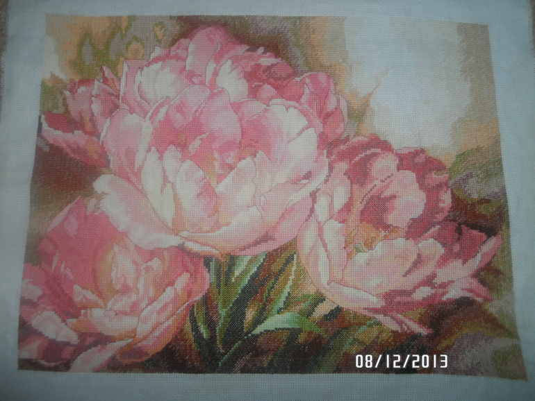 Трио тюльпанов