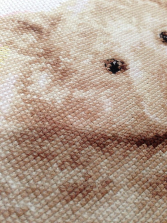 Беленький, северный....