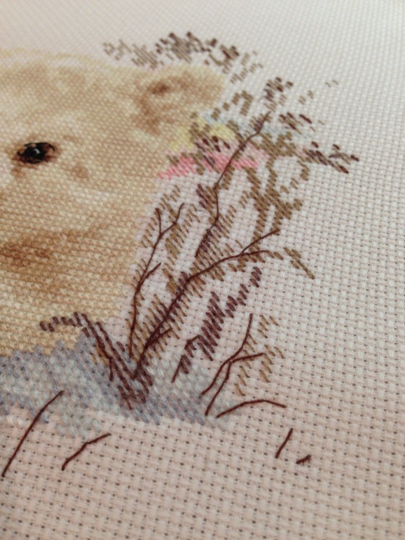 Беленький, северный....