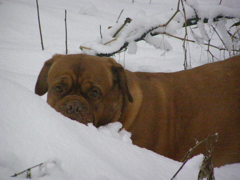 Моя Лялечка, детка первая, беги по радуге, я тебя всегда буду помнить...