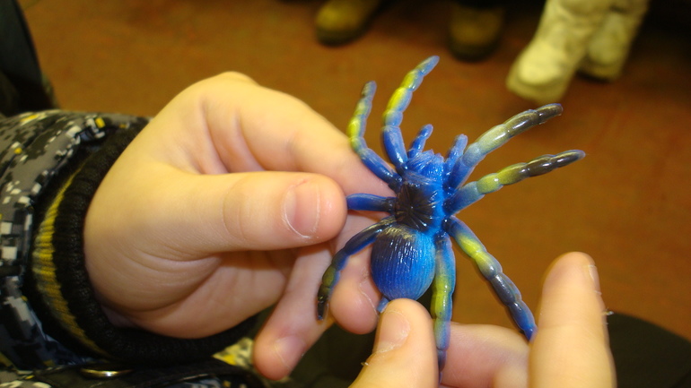 Кремлёвская ёлка!