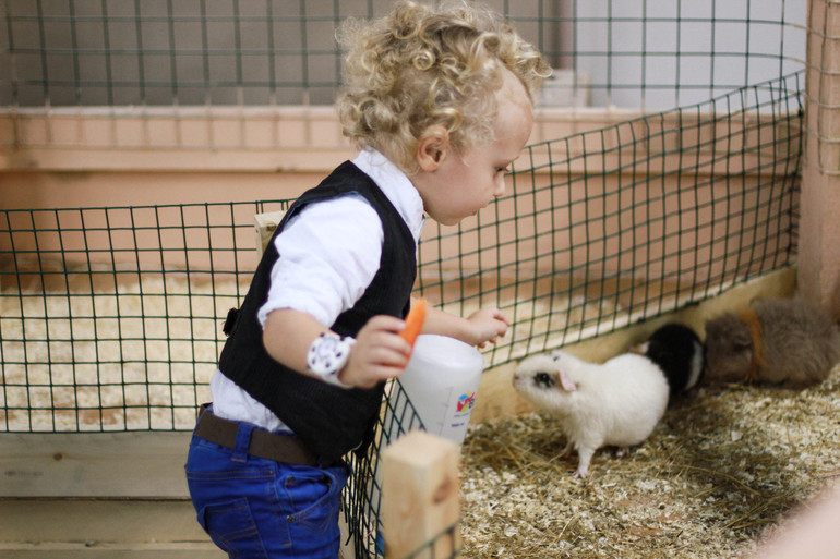 Контактный зоопарк м.Теплый стан