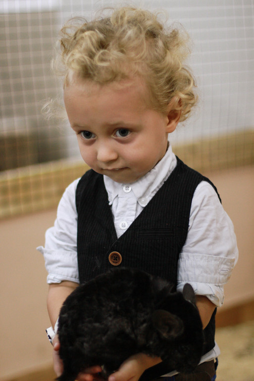 Контактный зоопарк м.Теплый стан