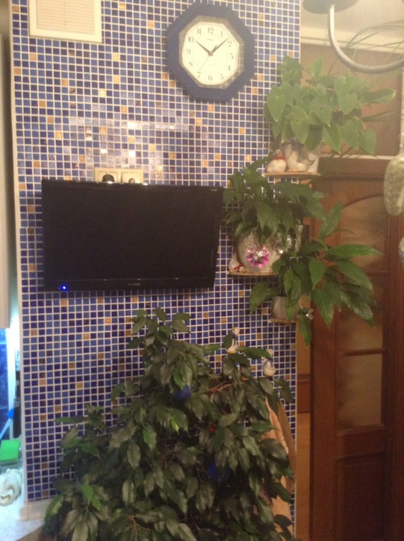 Белая кухня 8,8 м кВ