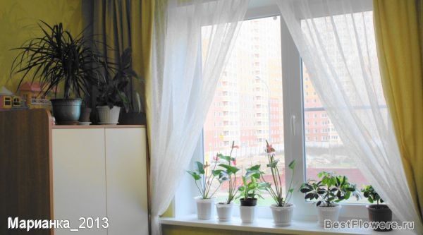 Взлёт 69, день 15.