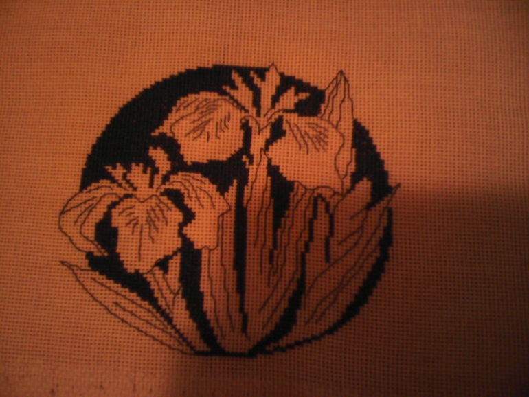 мой вышивальный 2013 год