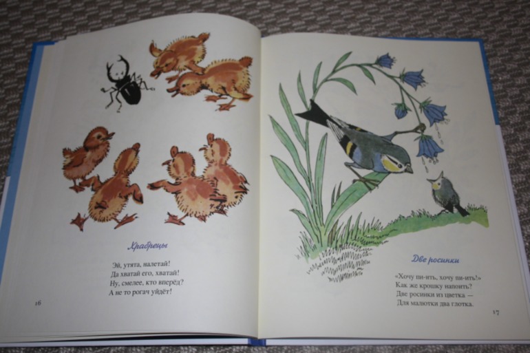 Наше декабрьское чтение