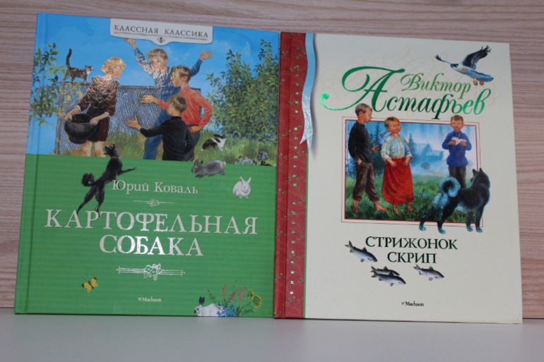 Книжное изобилие ("Озон" и "Нон-фикшн")