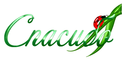 Вот и наш подарочек!