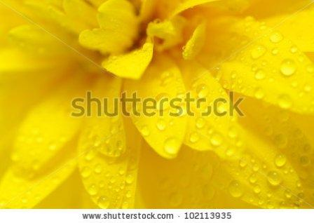 давайте дружить!!!