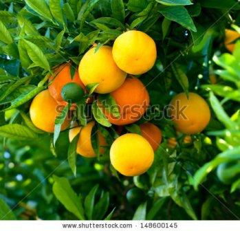 давайте дружить!!!