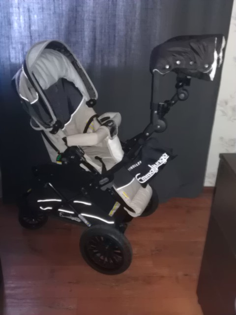 Emmaljunga Ozone City PP цена 18 000р!!! ТК за мой счет!!!