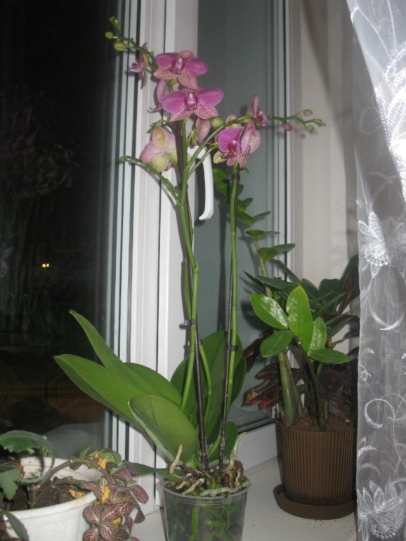 Взлёт № 69 день 13