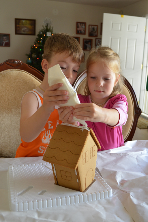 Наш первый Домик из печенья и просто печенья))) 3г.8мес.